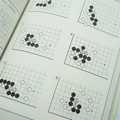 围棋教学视频成人版免费观看