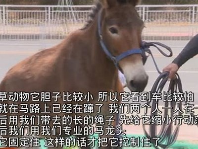 家庭免费观看成人电影视频